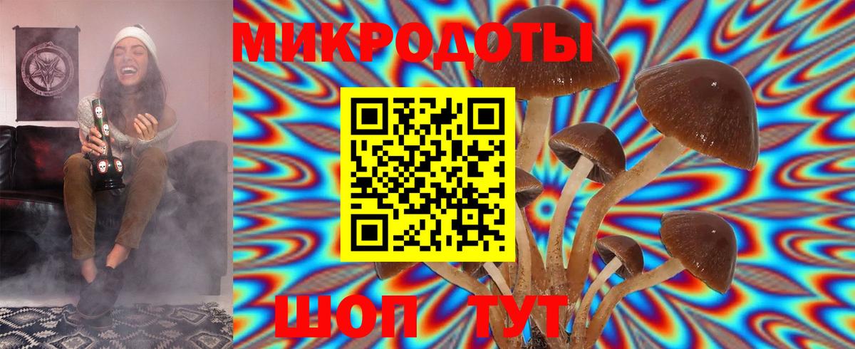 Галлюциногенные грибы прущие грибы  Галлюциногенные грибы мухоморы  Вход с VPN  Буйнакск 