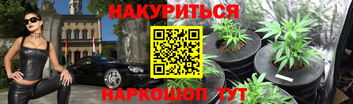 Марихуана планчик Буйнакск